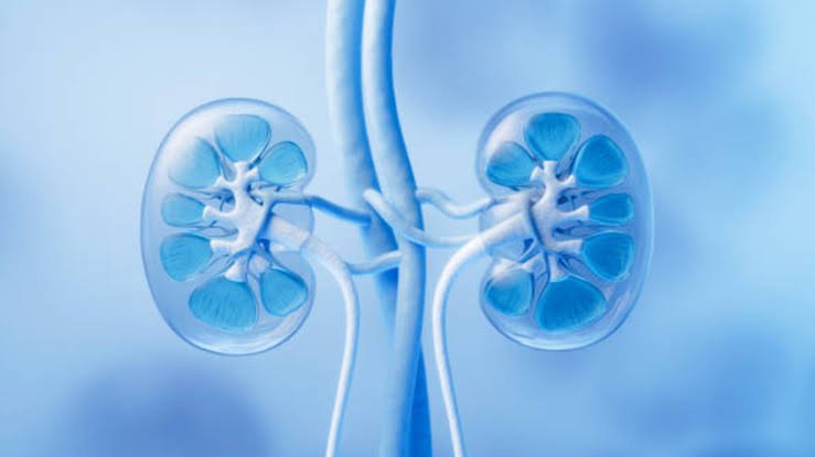 7 Powerful Dialysis Innovations 2026 Changing Kidney Care